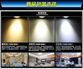 廣西照明微牌超市專用生鮮燈具省電節能,廣西照明微牌超市專用生鮮燈具省電節能生產廠家,廣西照明微牌超市專用生鮮燈具省電節能價格